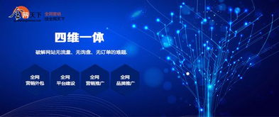 初入互聯(lián)網(wǎng) 全網(wǎng)營銷推廣產(chǎn)品與銷售的實用指南