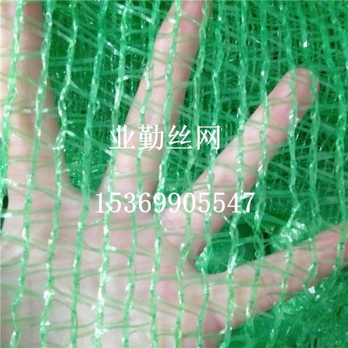 業(yè)勤直銷4針綠色聚乙烯蓋土網(wǎng) 環(huán)保防塵覆蓋網(wǎng)的優(yōu)質(zhì)選擇